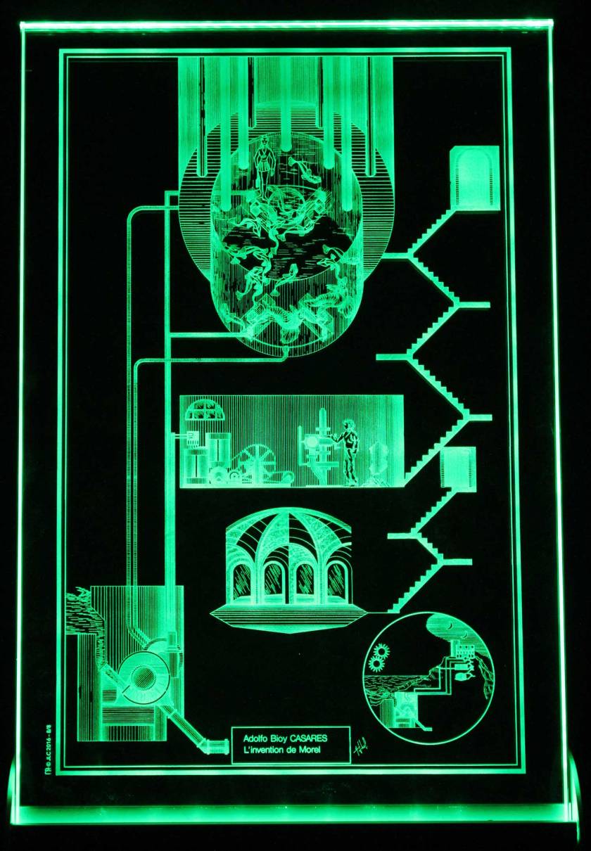 PttVerreVrtInvMorelWb