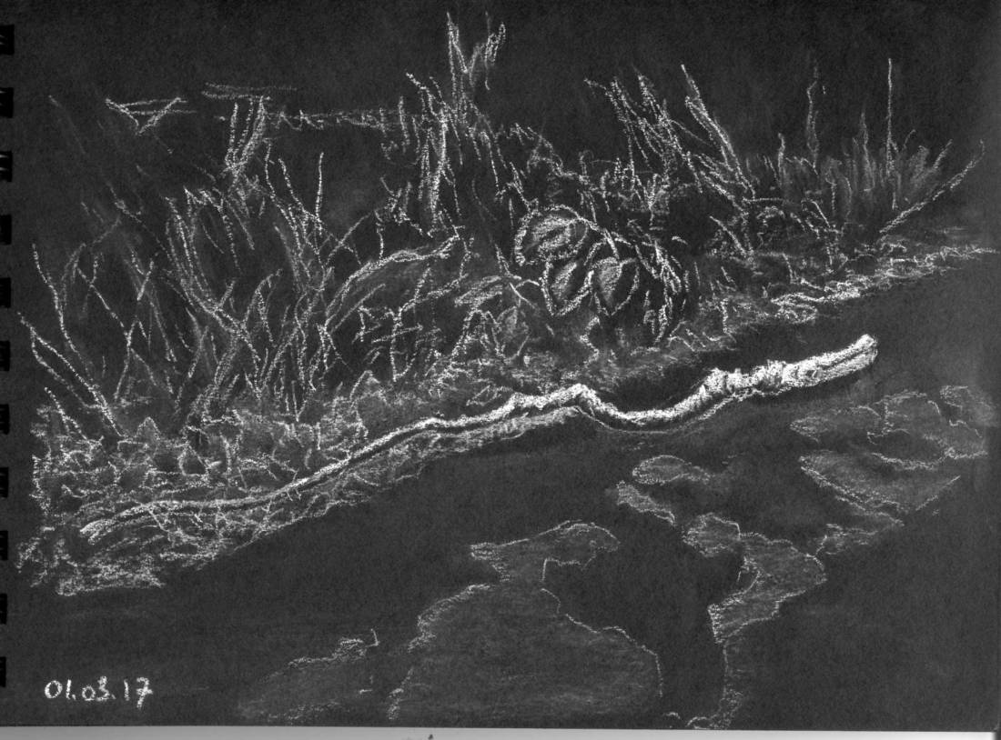 SerpentForetmeudon010317Wb